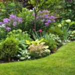 5 Basic Things To Consider For Your Landscaping Project
